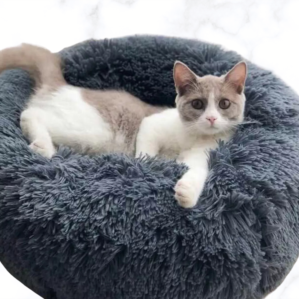 Fluffy plush donut pet nest in dark gray, with a white-and-light-gray cat inside