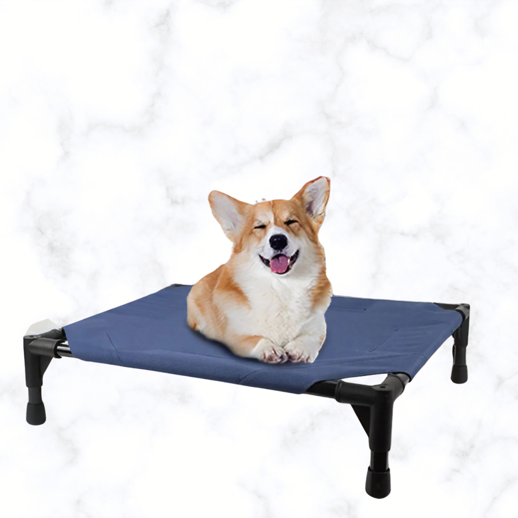 Navy foldable elevated pet bed with padded top and four legs, dog resting