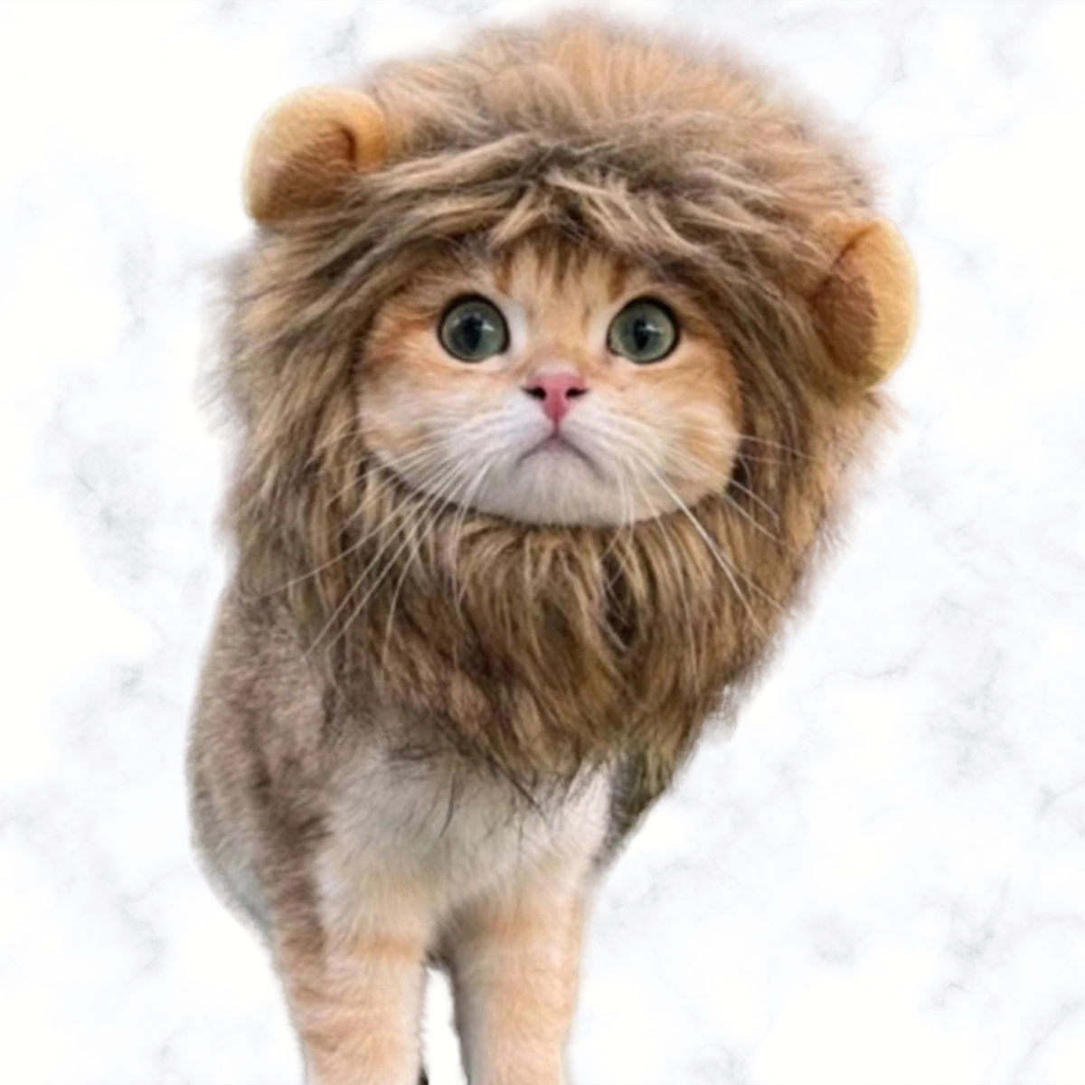Brown lion mane pet headwear with fuzzy mane and round ear covers for pets