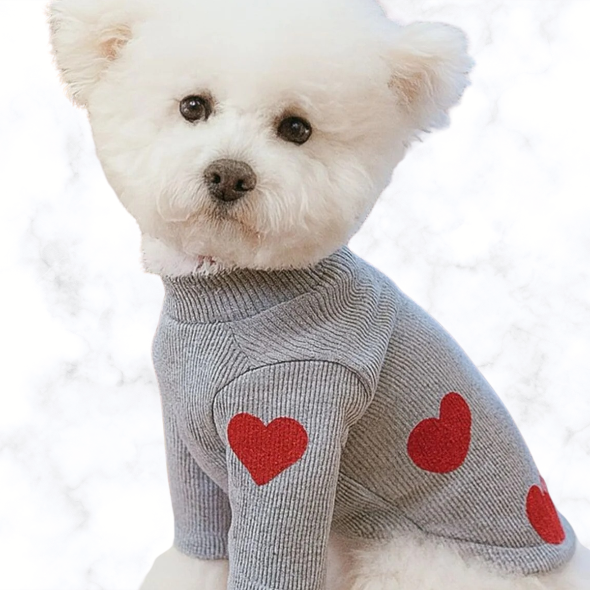 Gray heart-pattern pet sweater with ribbed turtleneck and red hearts on the body