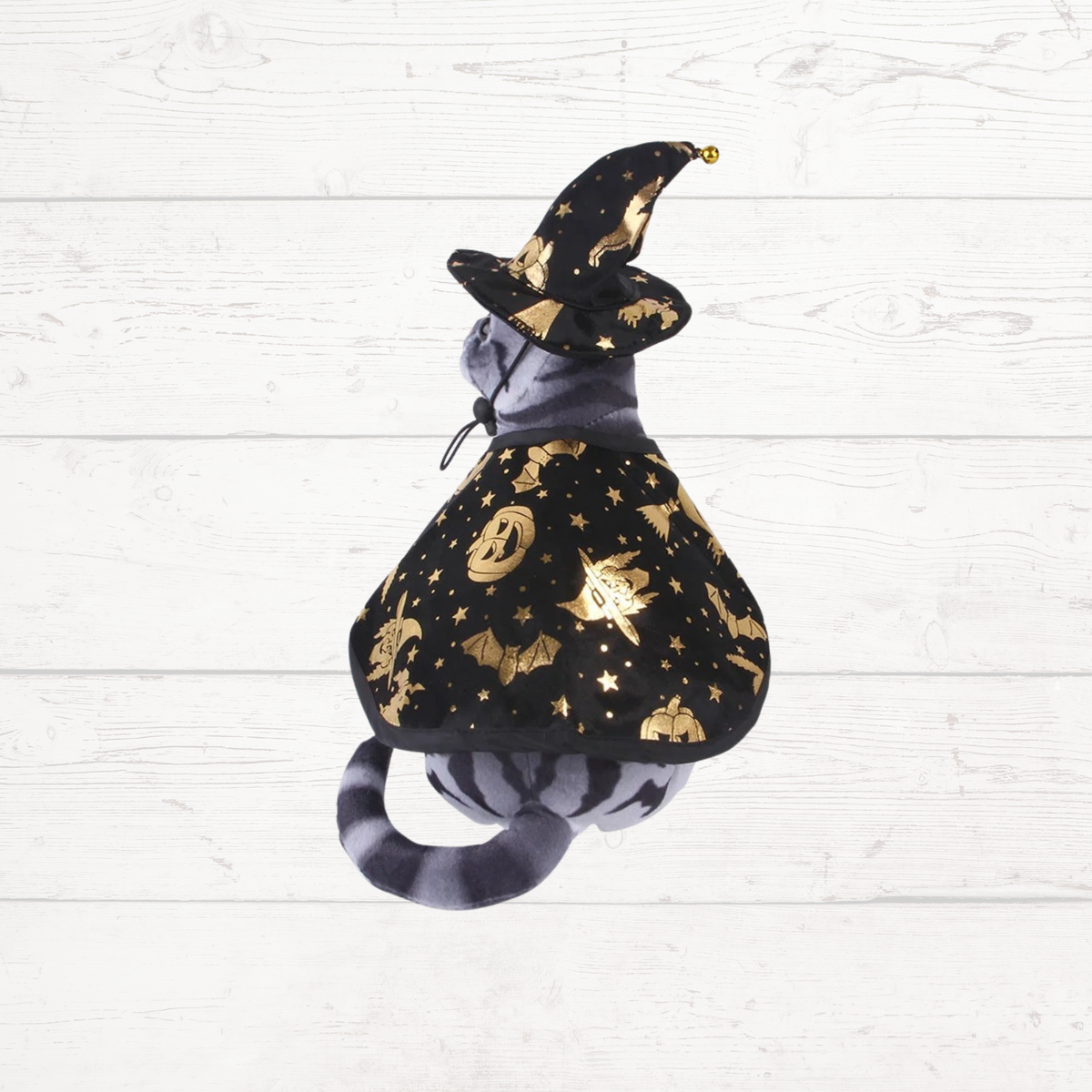 Pet Halloween witch outfit: black pointed hat with gold graphics and full cape