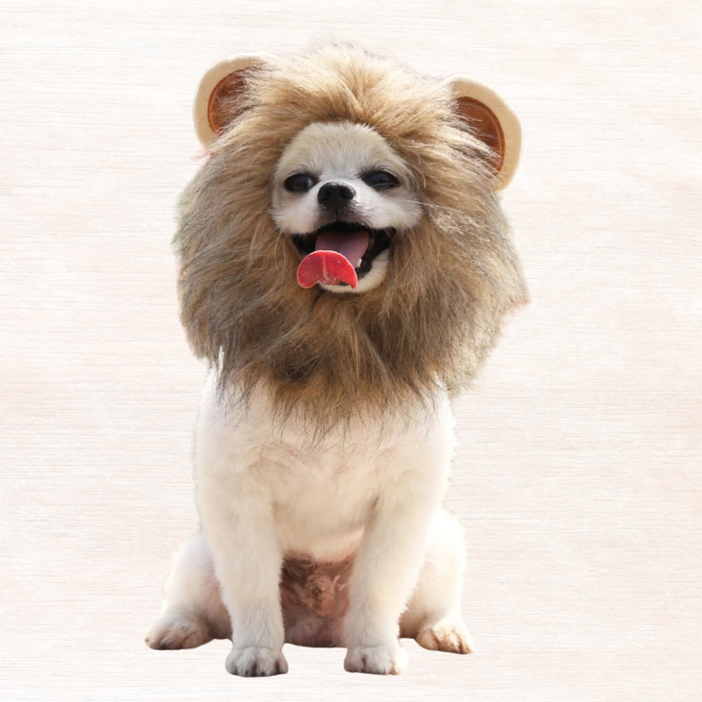 Brown lion mane pet headwear with thick mane and big ear openings, dog wearing it