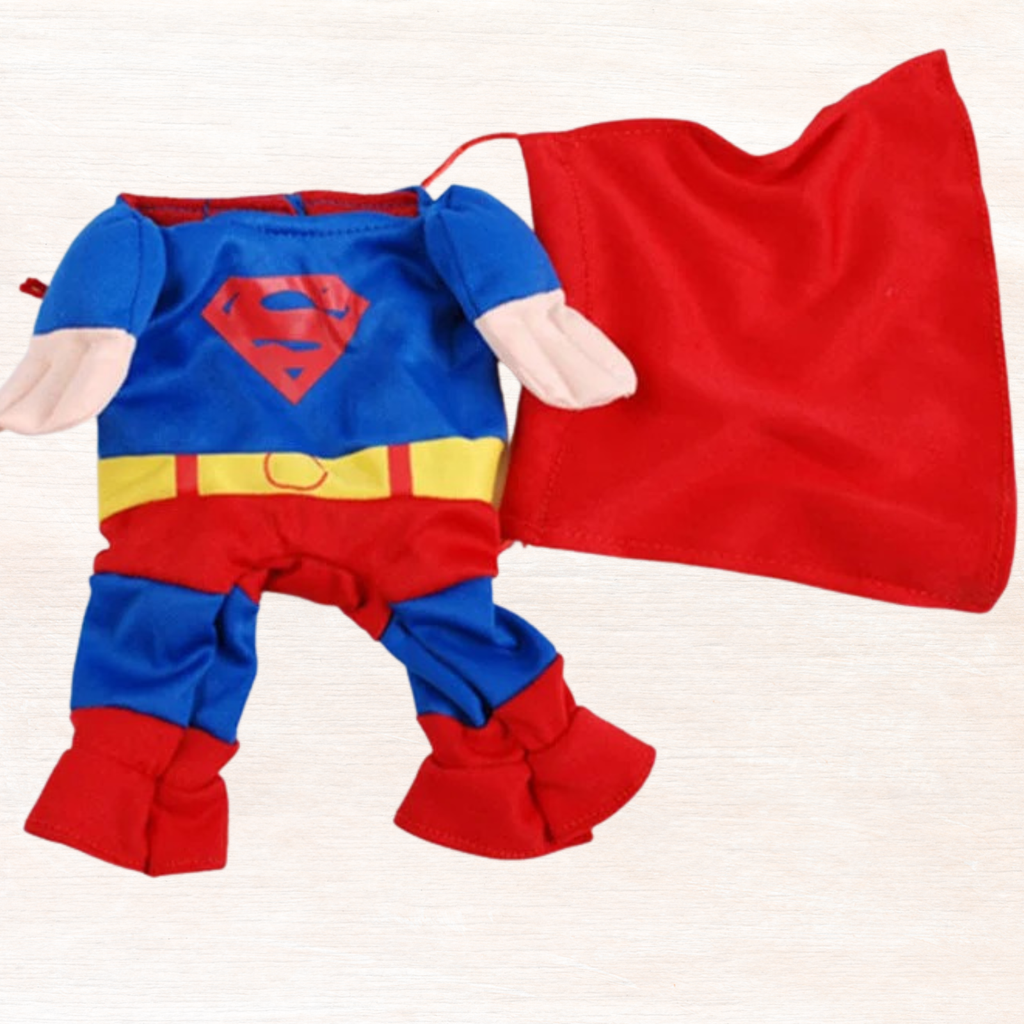 Folded superhero cat costume set: blue suit with red cape and yellow belt