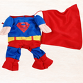 Folded superhero cat costume set: blue suit with red cape and yellow belt