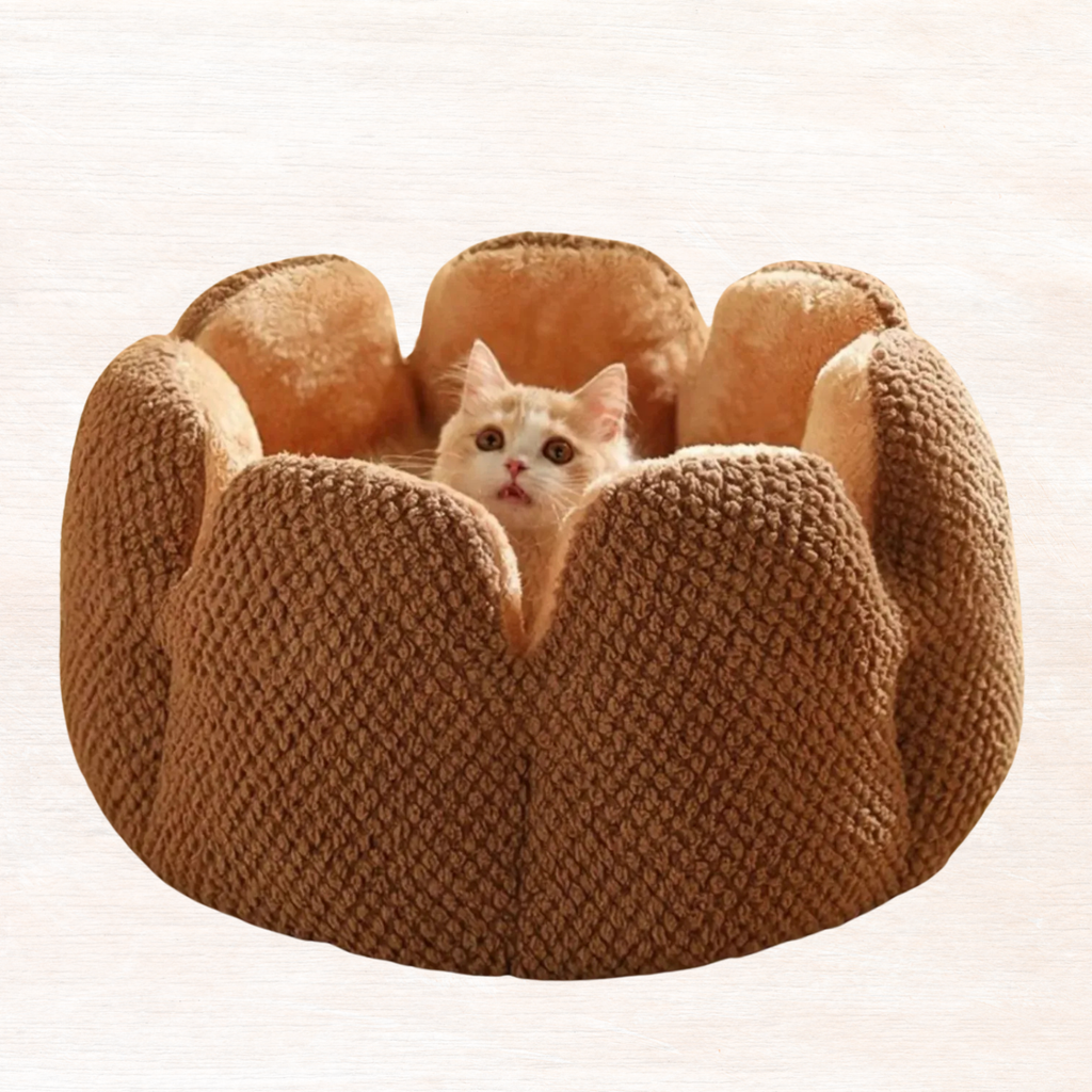 Brown plush pet nest with textured flower-petal sides and small cat bed center