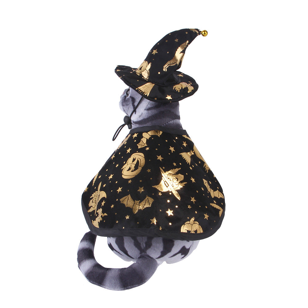 Pet witch costume with black hat and star-pattern cape, secured with drawstring ties