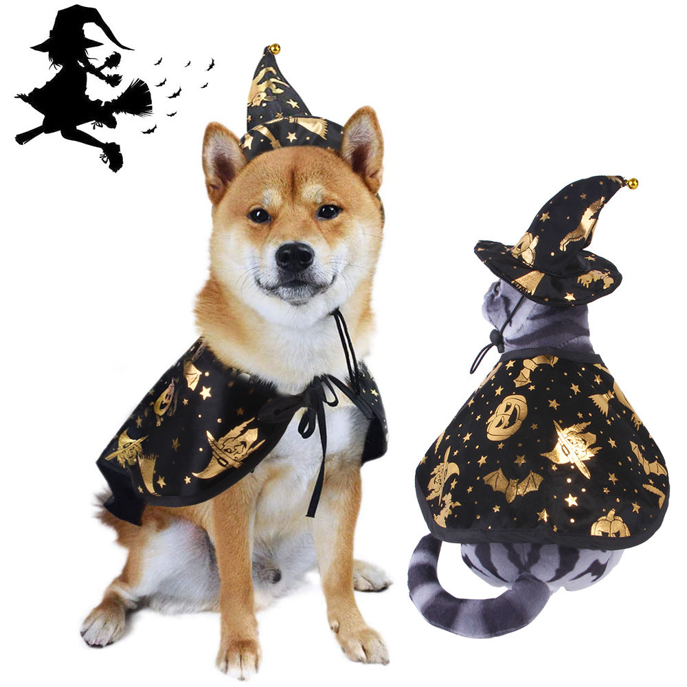 Pet Halloween witch costume with black star-print hat and matching cape with drawstring