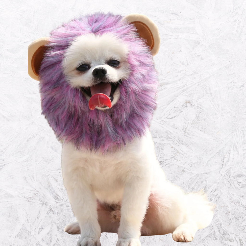 Purple lion mane pet headwear with fluffy purple mane, cream inner hood and ear covers