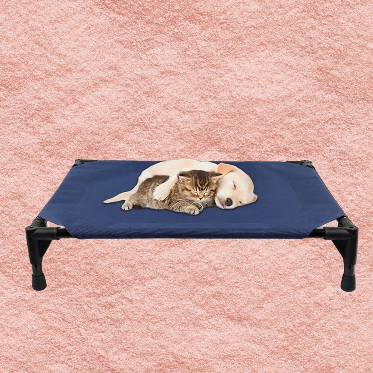 Navy foldable elevated pet bed with padded top and four legs, cat lying down