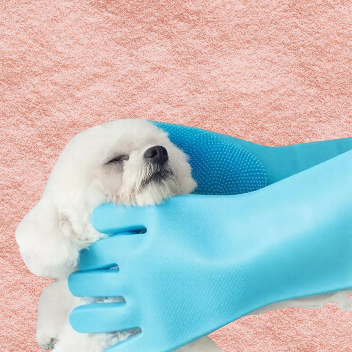 Sky blue pet grooming shower gloves with textured silicone tips