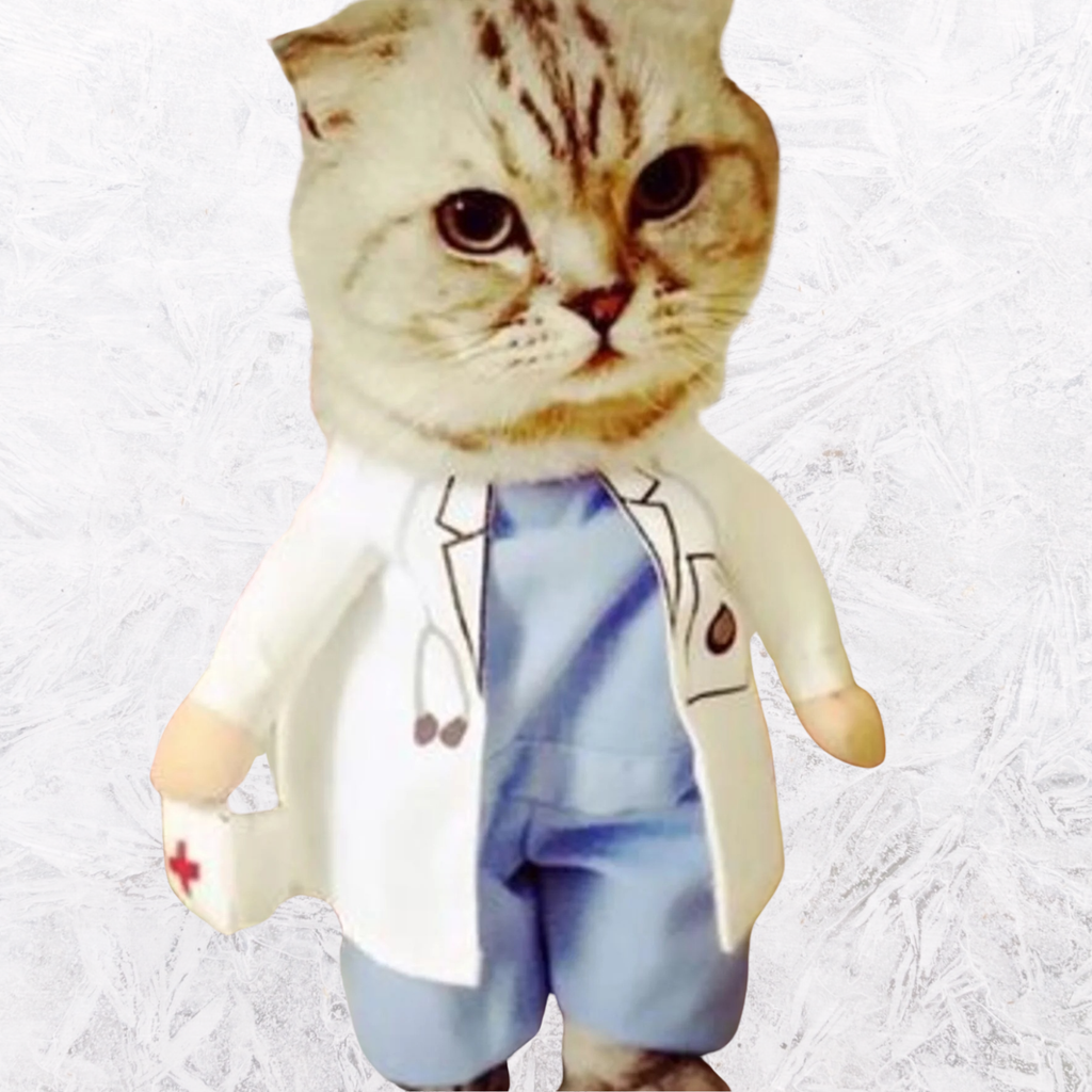 Pet jumpsuit costume with cream jacket and blue pants, cat face hood detail