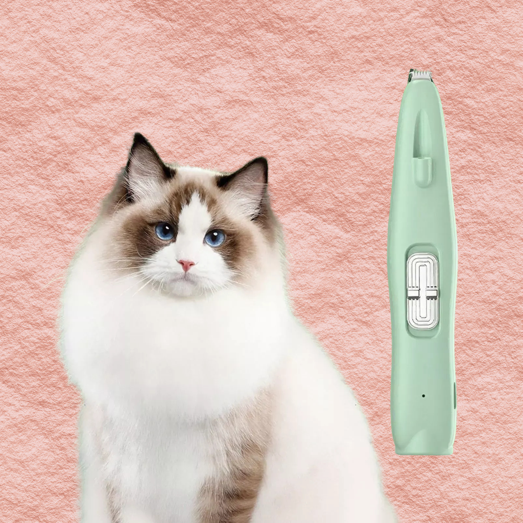 Mint rechargeable pet hair clipper beside a fluffy cat face