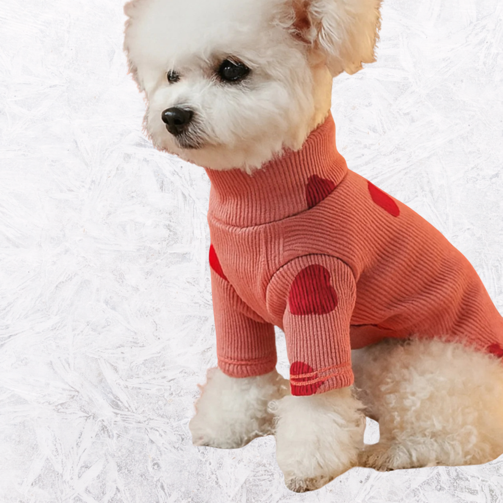 Burnt coral heart-pattern pet sweater with ribbed turtleneck and red heart graphic