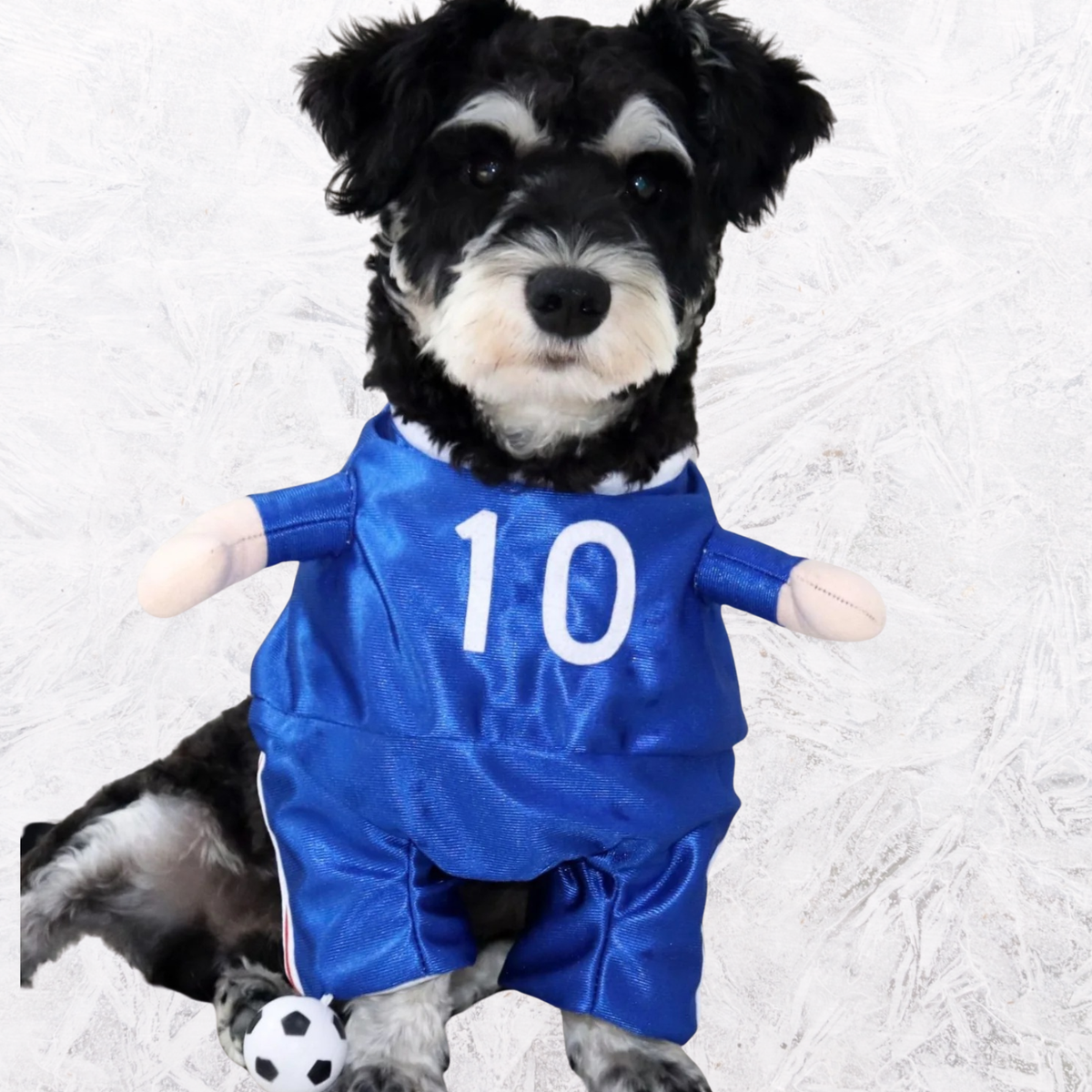 Blue dog jumpsuit with white number 10 print and arm openings