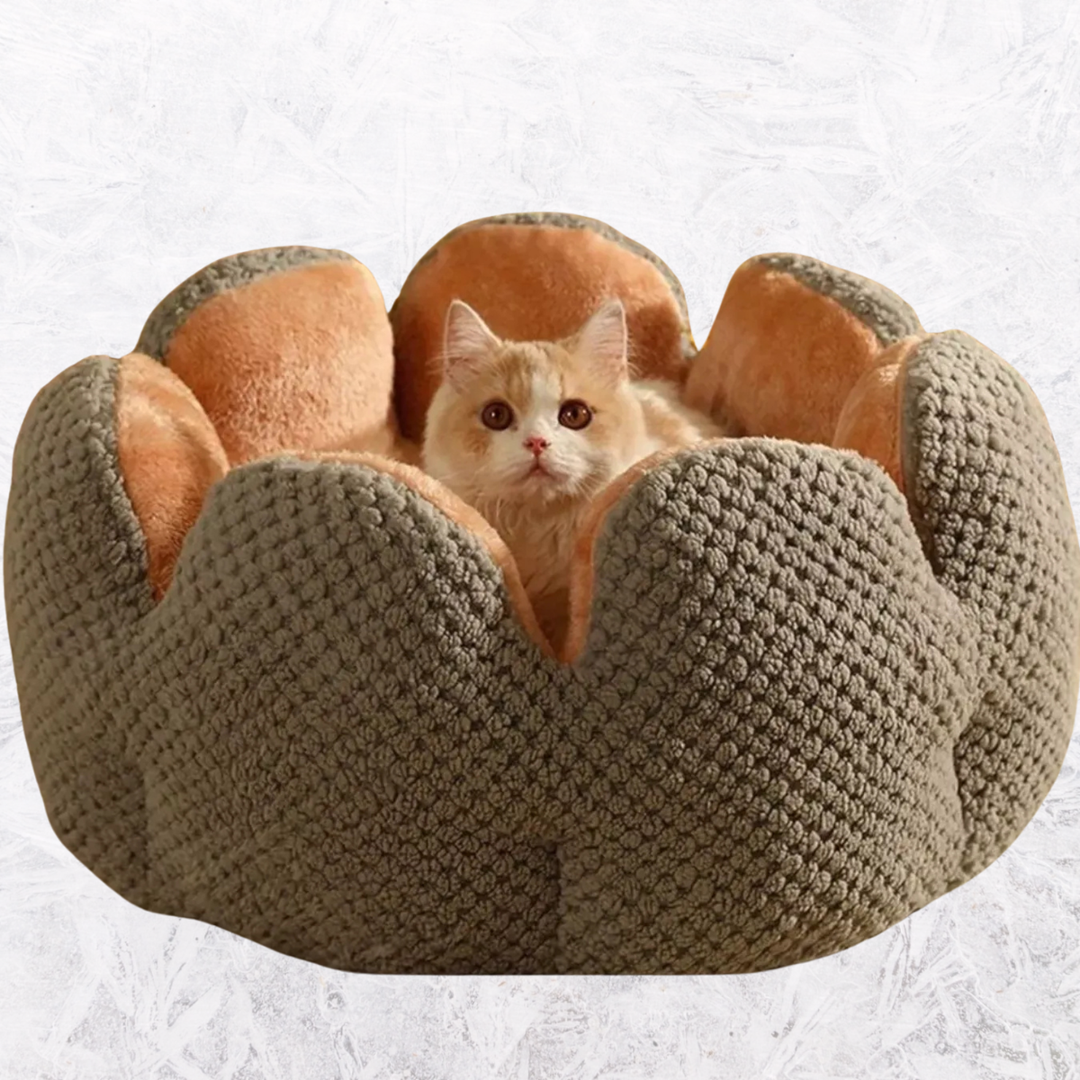 Dark gray plush pet nest with textured flower-petal sides and cream-lined center