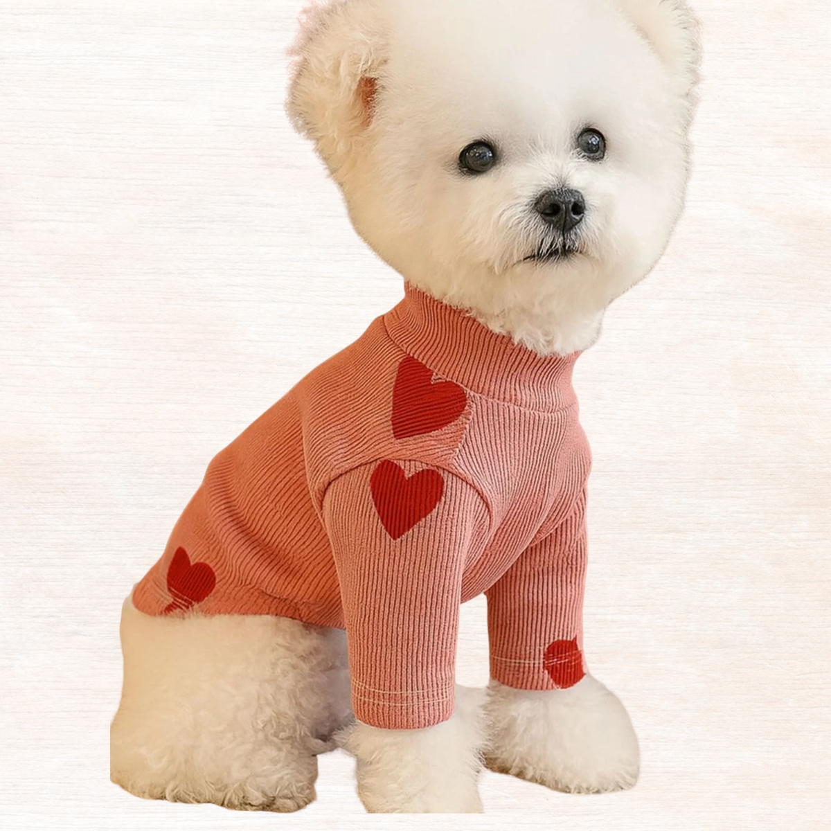 Burnt coral pet sweater with red hearts, ribbed cuffs and knit turtleneck