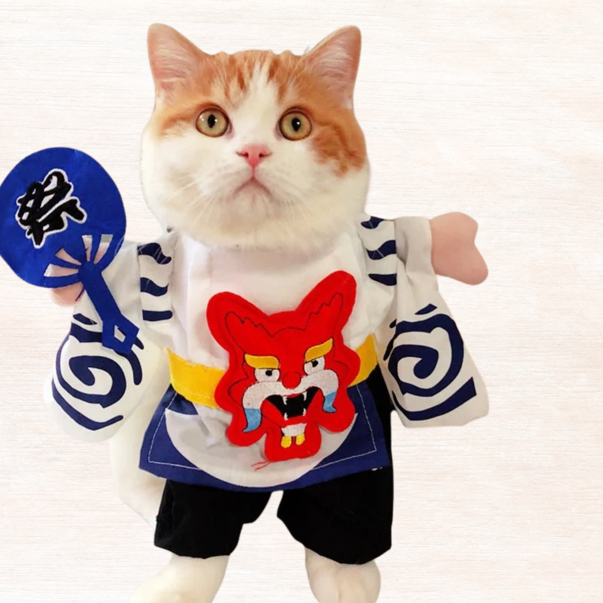 Orange-and-white cat costume with white shirt, navy sleeves, red graphic, black shorts