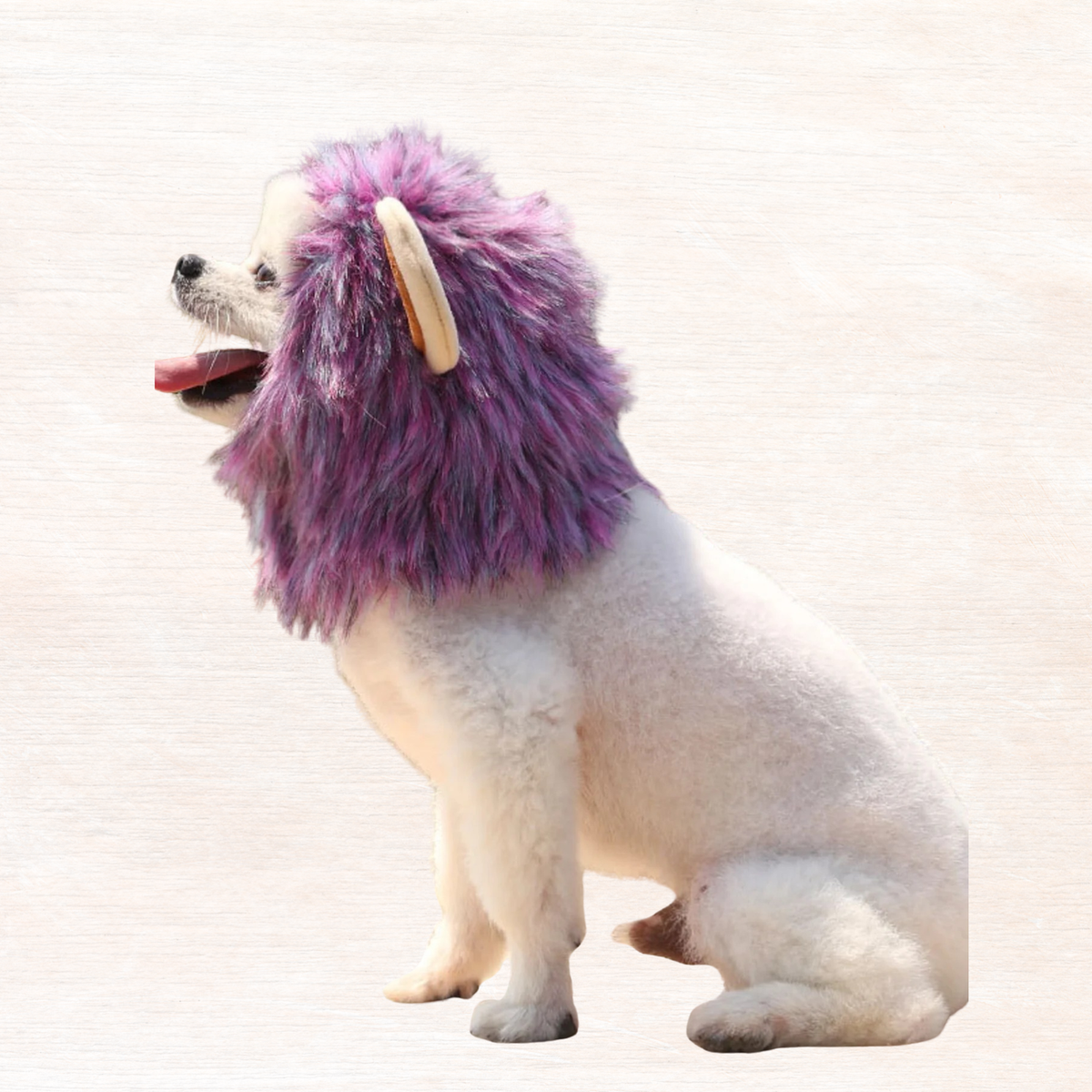 Purple lion mane pet headwear, side view with fluffy mane and tan ear openings