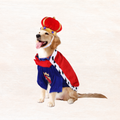 Dog wearing blue king pet costume with red cape and crown hat, full body