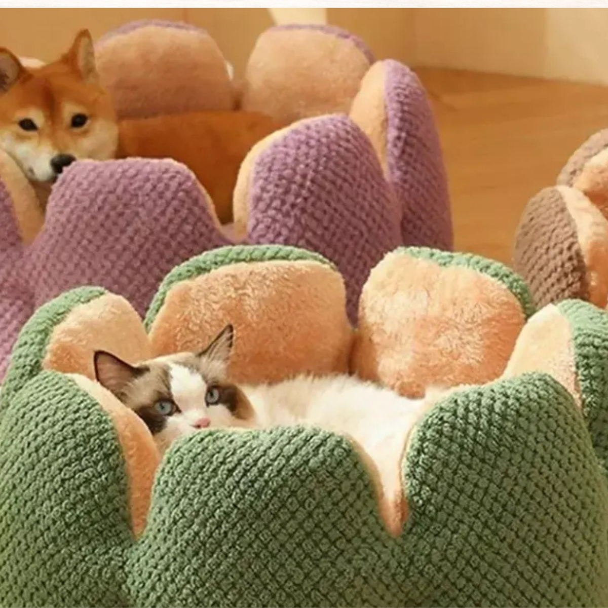 Green plush pet nest with orange and cream petal pillows; two cats inside