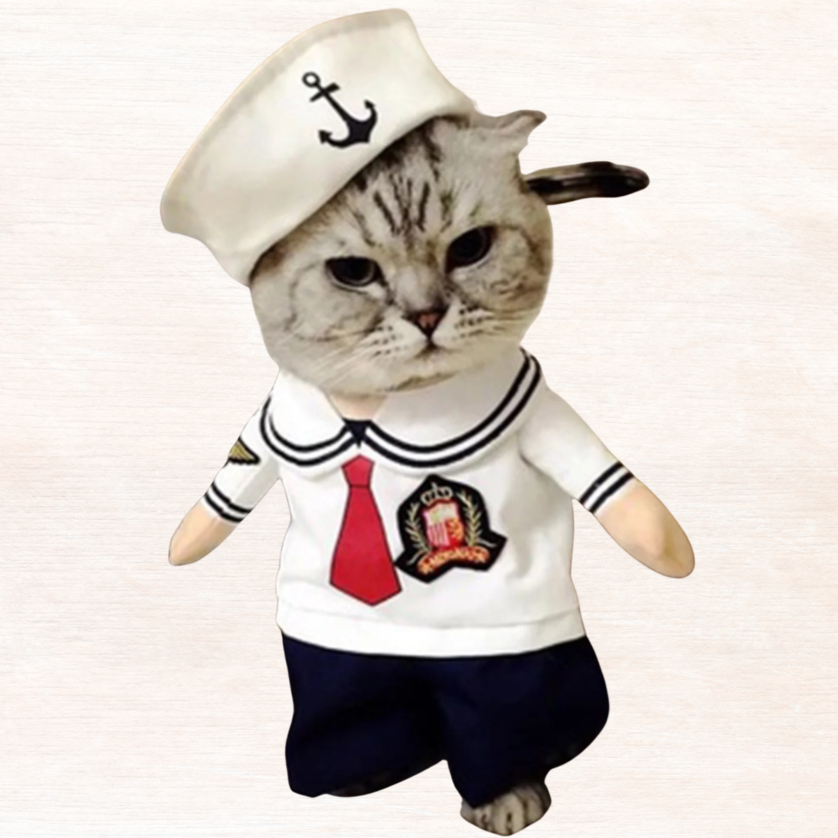Pet jumpsuit costume with sailor hat, white shirt, navy shorts, striped collar
