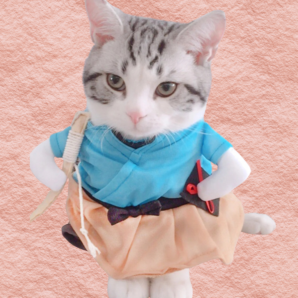 Pet jumpsuit costume with light blue top and peach overalls, rope strap detail