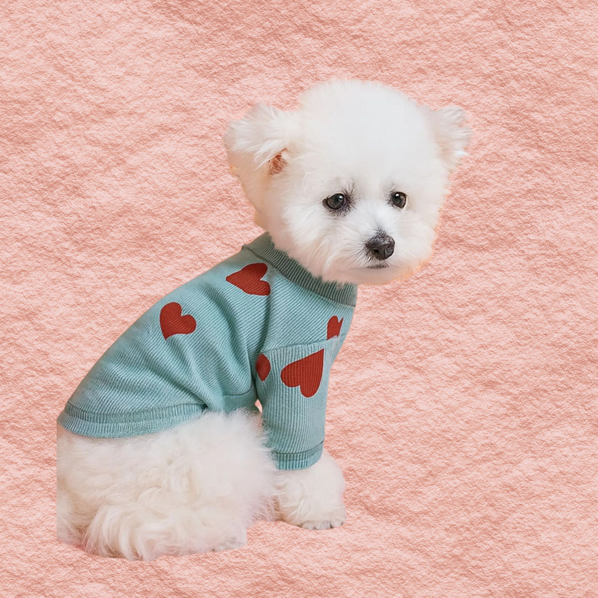 Turquoise heart-pattern pet sweater with red hearts and ribbed short sleeves