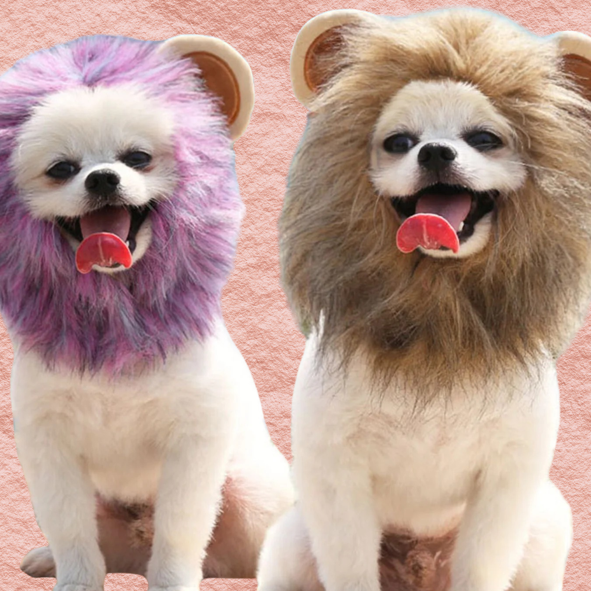 Purple and brown lion mane pet headwear, two dogs wearing fuzzy lion-ear hoods