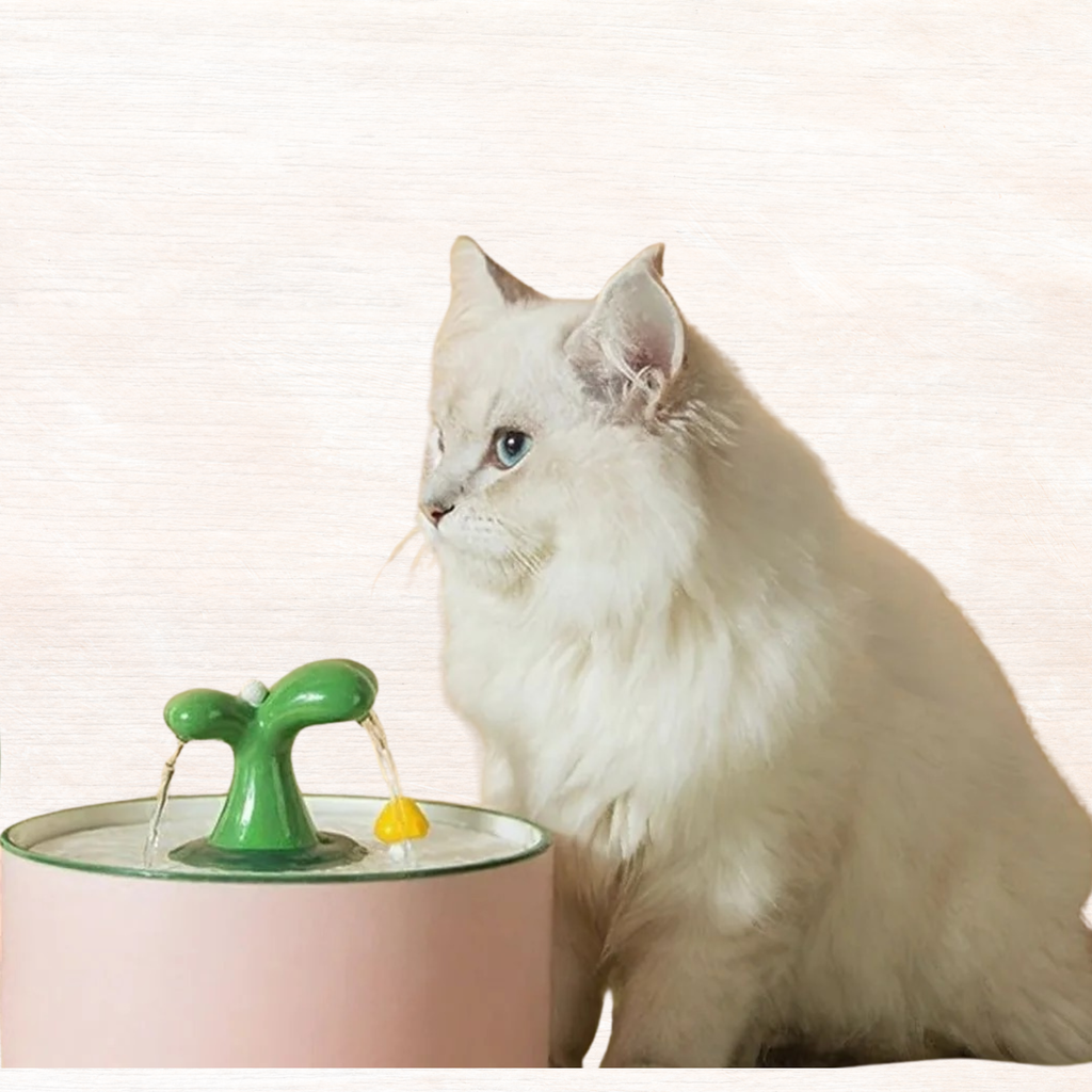 Cat beside small green automatic pet fountain with drinking spout and yellow outlet