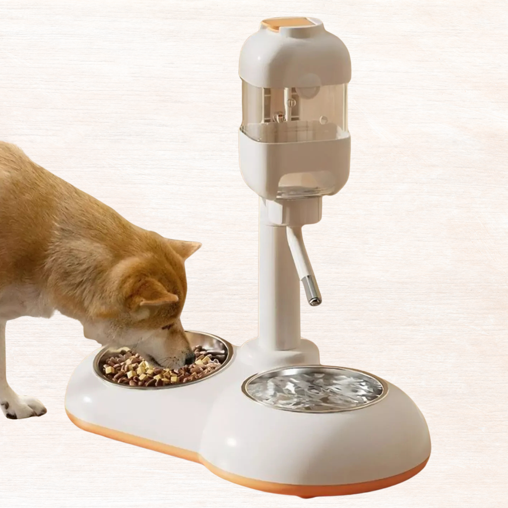 White automatic pet dispenser bowl with orange trim, stainless food and water bowls