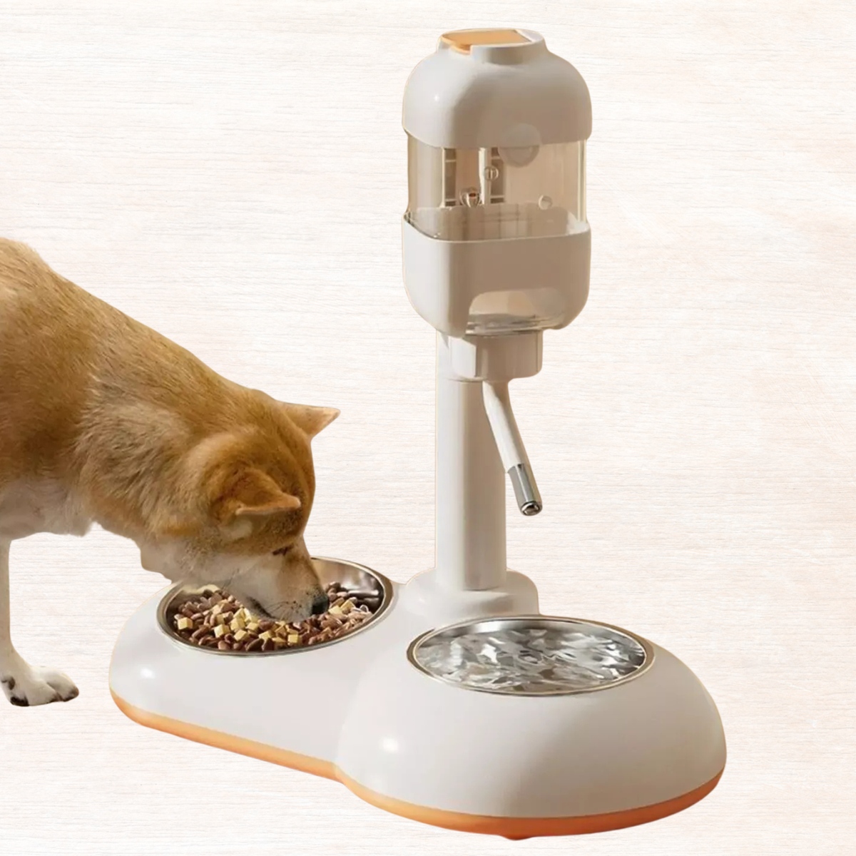 White automatic pet dispenser bowl with orange trim, stainless food and water bowls