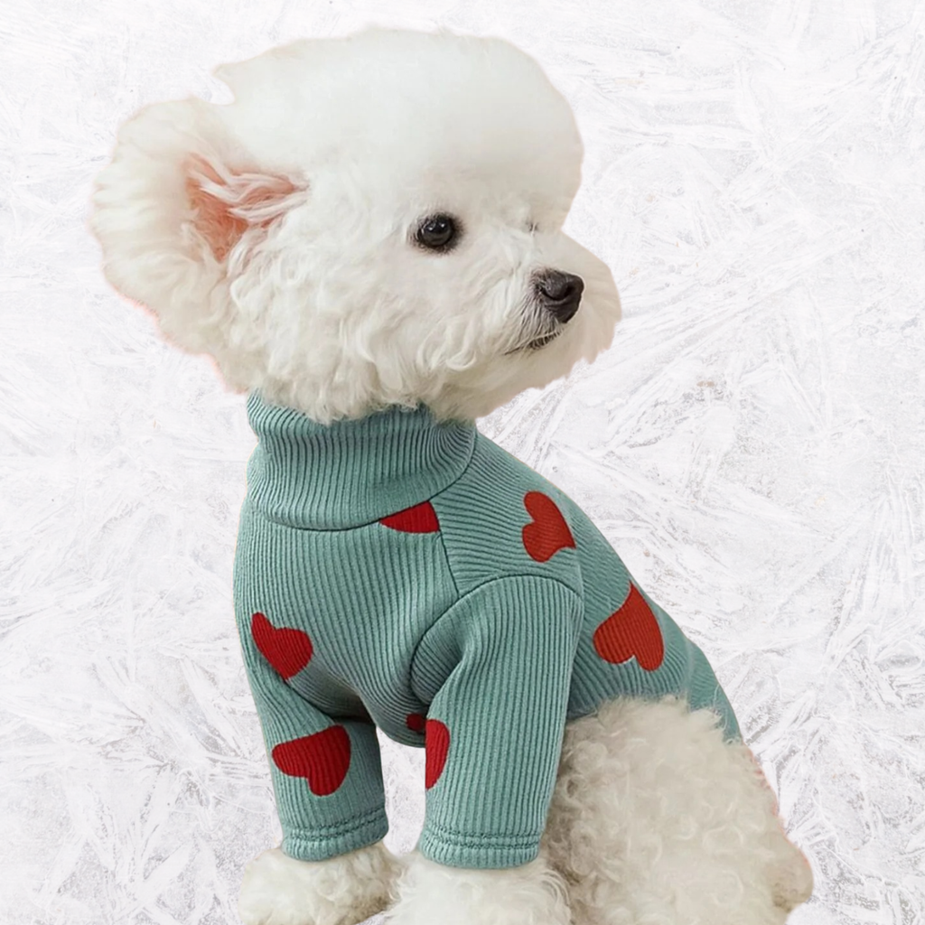 Turquoise heart-pattern pet sweater with red hearts, ribbed cuffs and knit turtleneck
