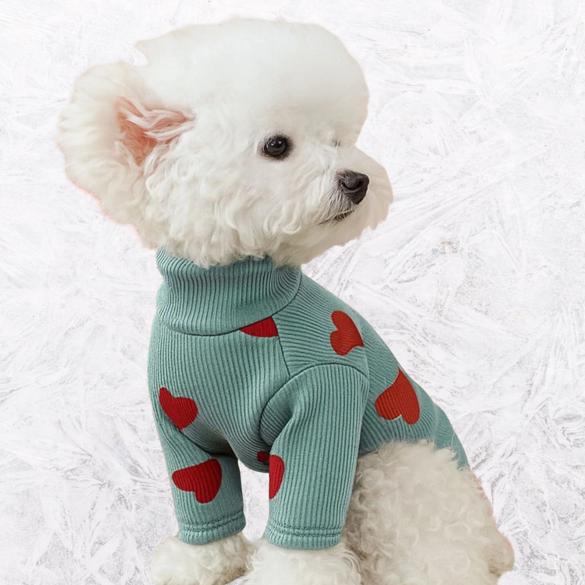 Turquoise heart-pattern pet sweater with red hearts, ribbed cuffs and knit turtleneck