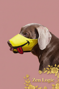 Funny Face Anti-Bite Pet Muzzle for Safe and Stylish Dogs - Goldflame Elixir